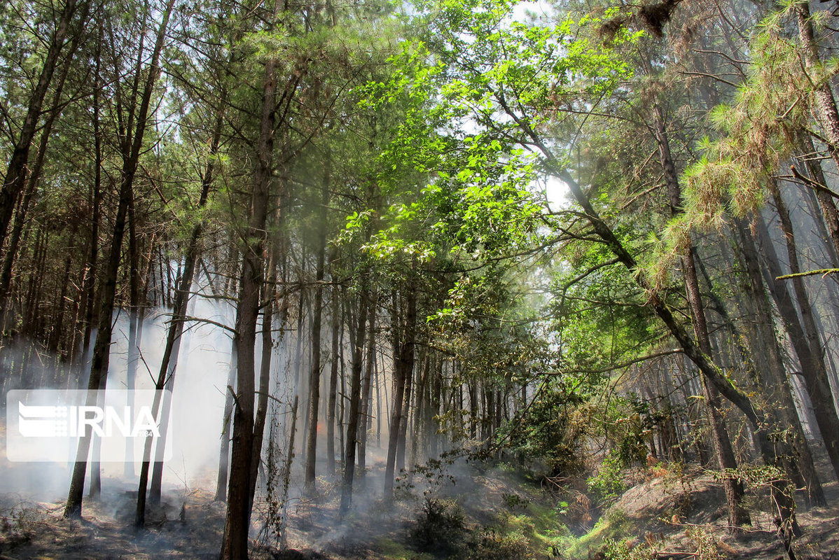 آتش سوزی در جنگل‌های رضوانشهر