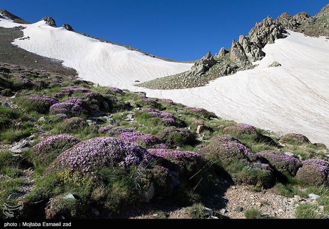 صعود تابستانی به قله بوز سینه