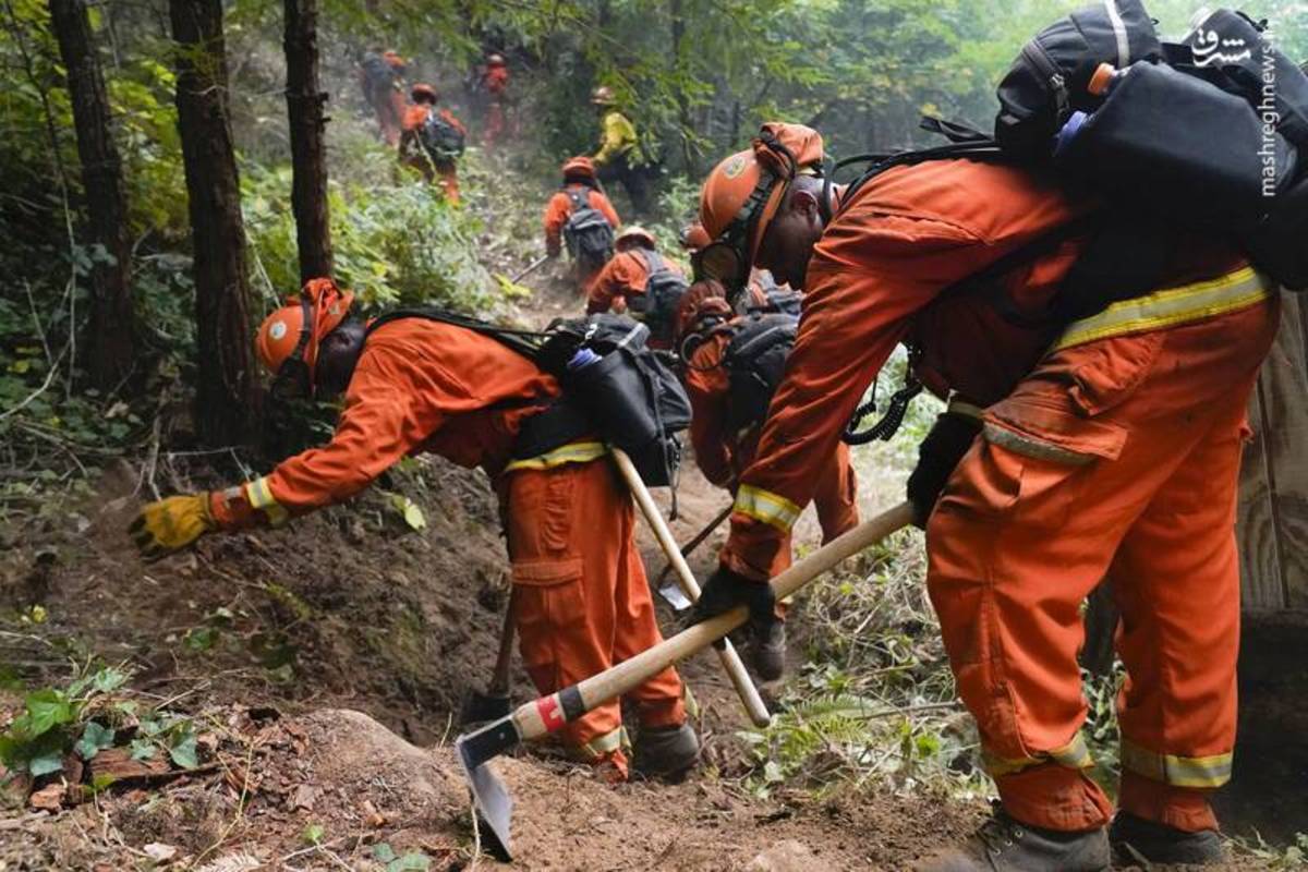 آتش سوزی در جنگل‌های کالیفرنیا جان ۷ نفر را گرفت