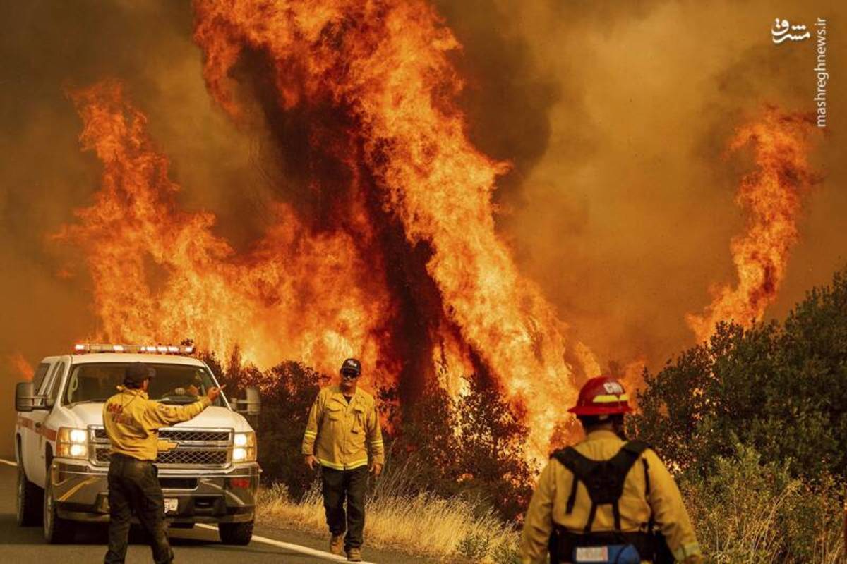 آتش سوزی در جنگل‌های کالیفرنیا جان ۷ نفر را گرفت