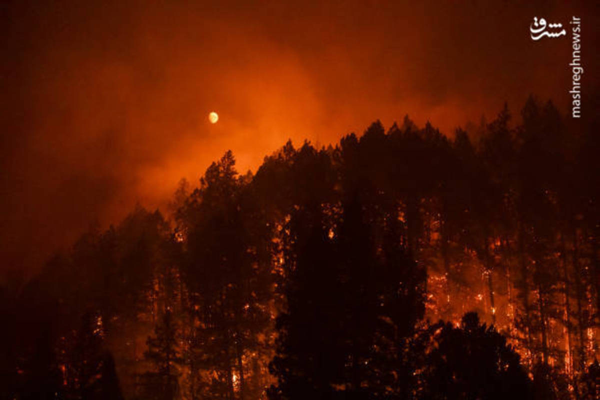 آتش سوزی کالیفرنیا به مناطق مسکونی رسید