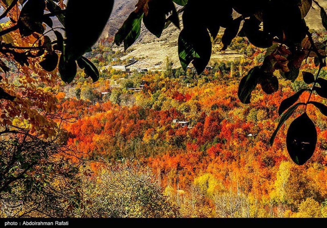 طبیعت پاییزی روستای سیلوار همدان