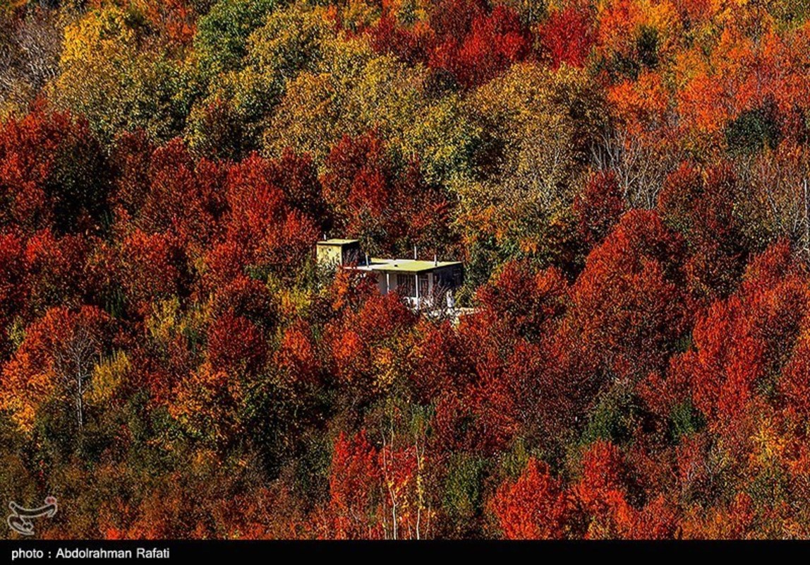 طبیعت پاییزی روستای سیلوار همدان