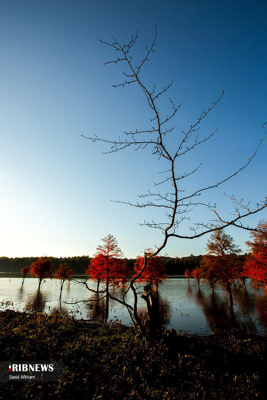  پاییز زیبای دریاچه الندان ساری