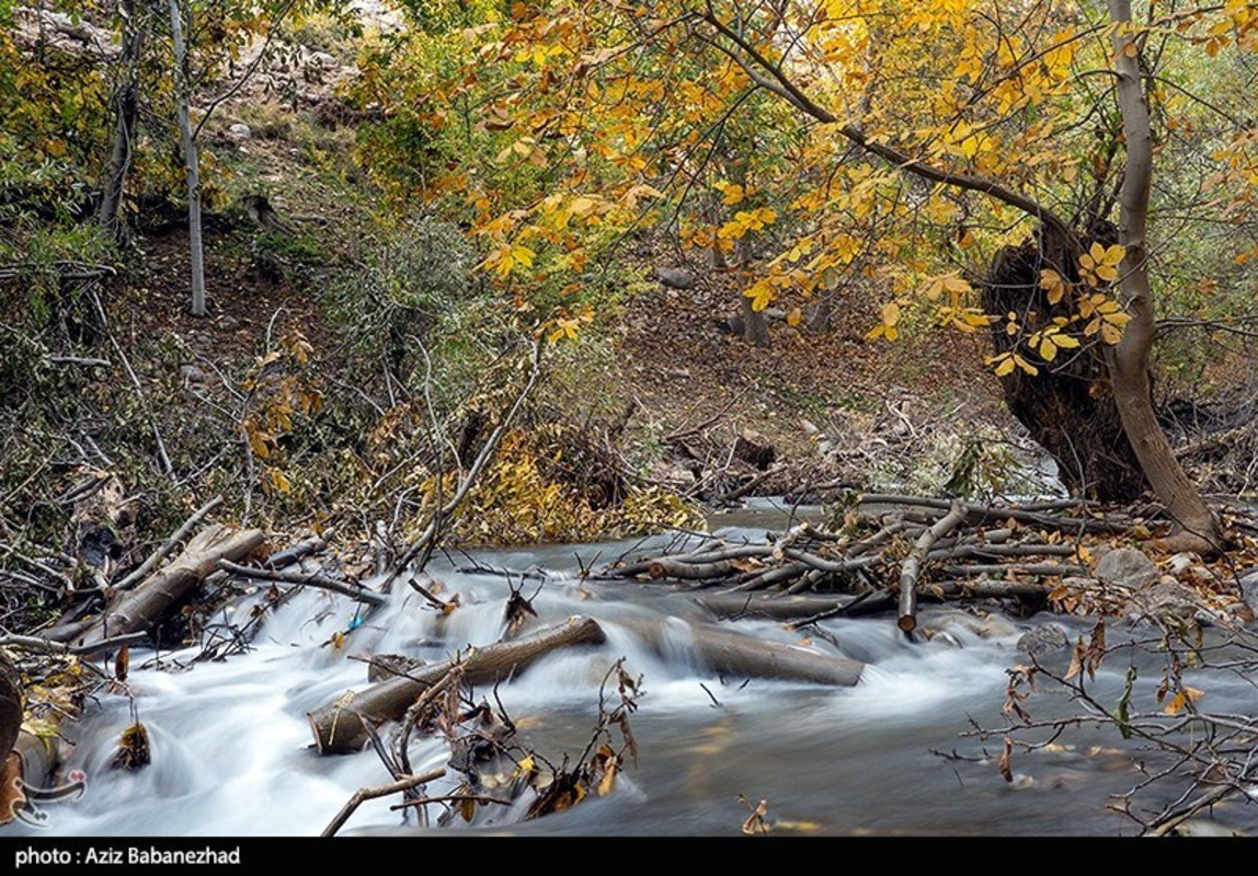 طبیعت گردی