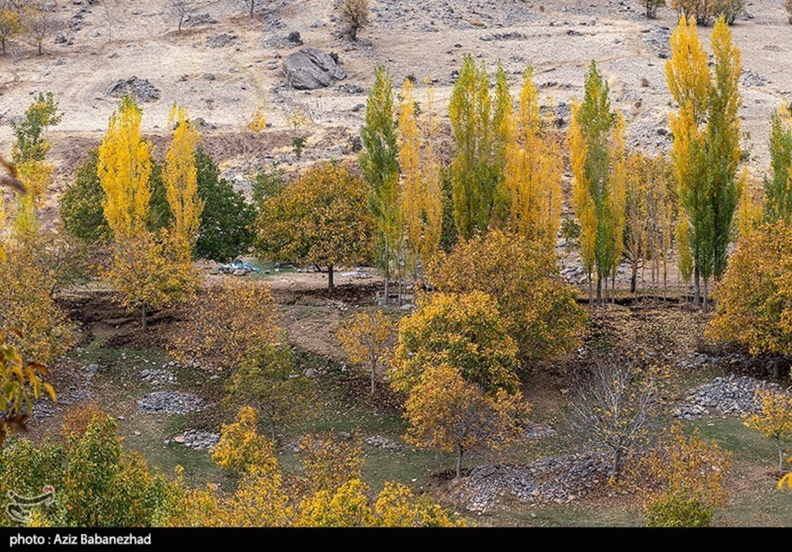 طبیعت گردی