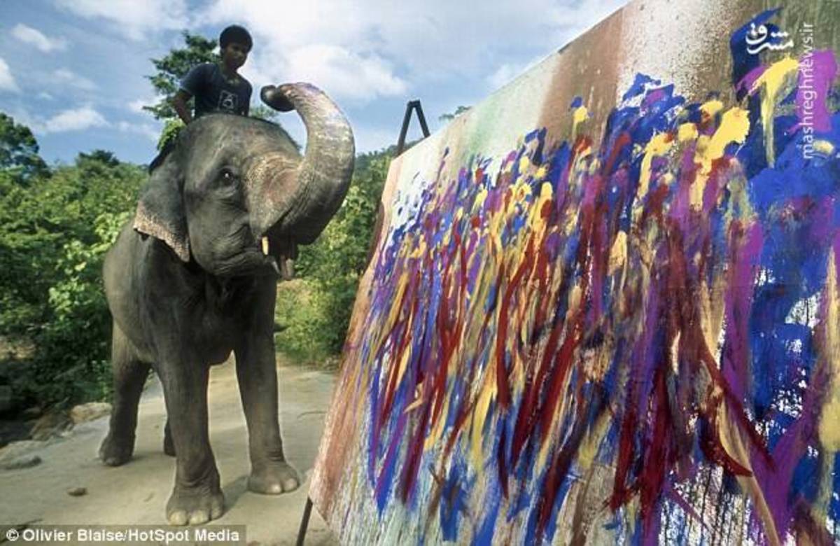 نقاشی فیل ها