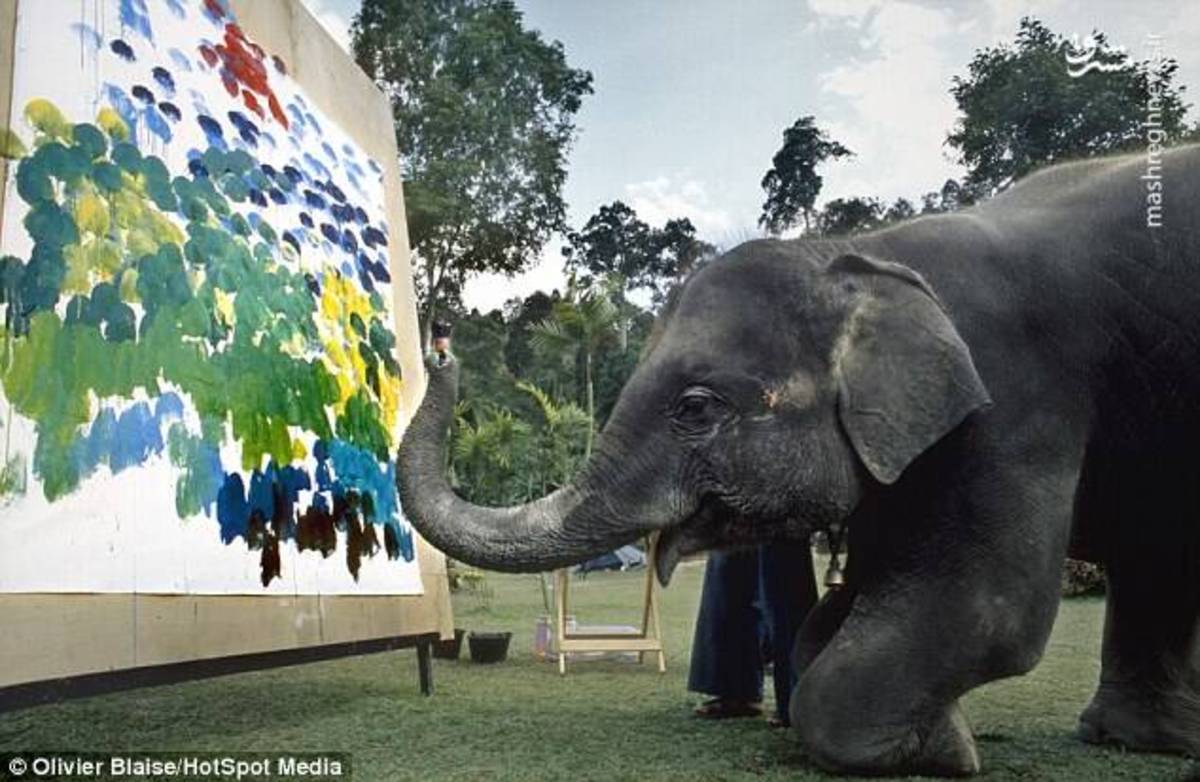 نقاشی فیل ها