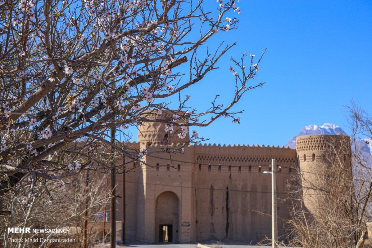 بهار در زمستان