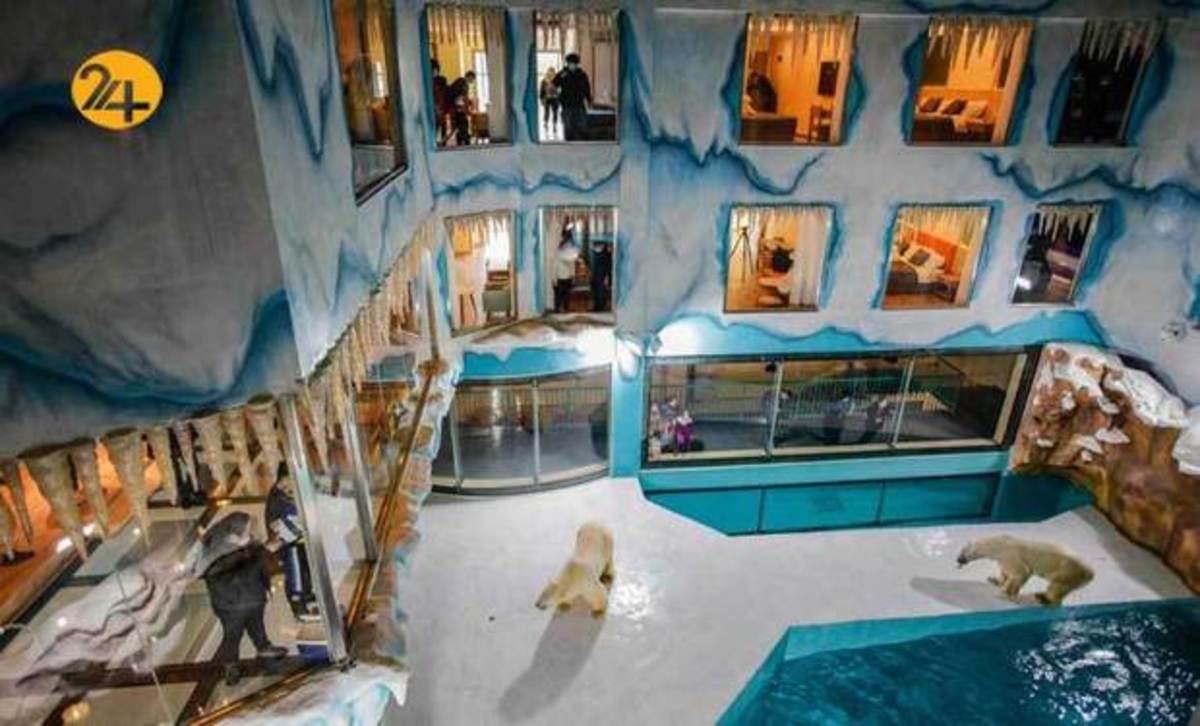 انتقاد به ساخت هتلی با چشم‌انداز خرس‌های قطبی