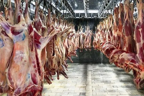 فروش گوشت به زیر قیمت بازار رسید؟