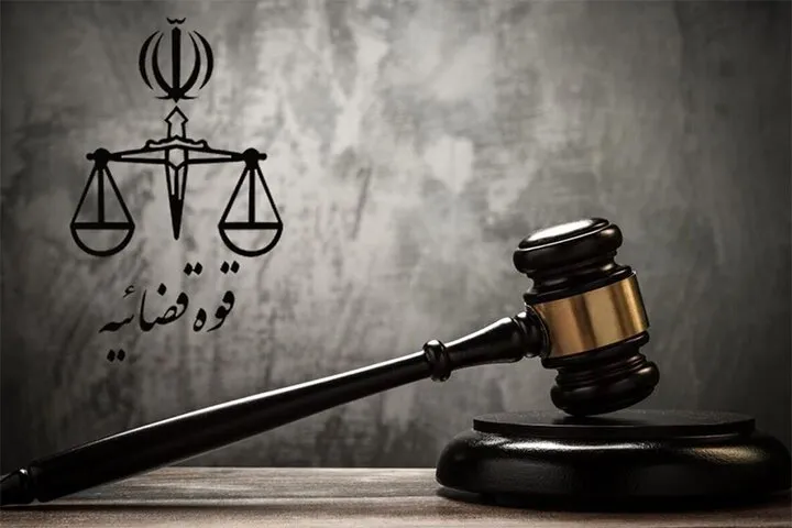دستور دادستانی درباره عامل ضرب و جرح کودکان معلول