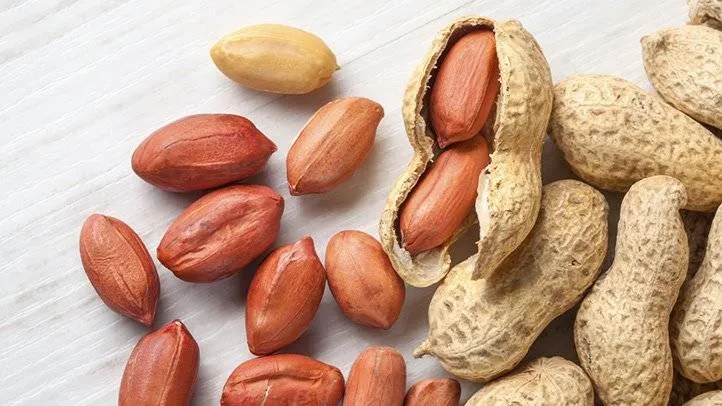 خطر مصرف بادام زمینی+هشدارجدی