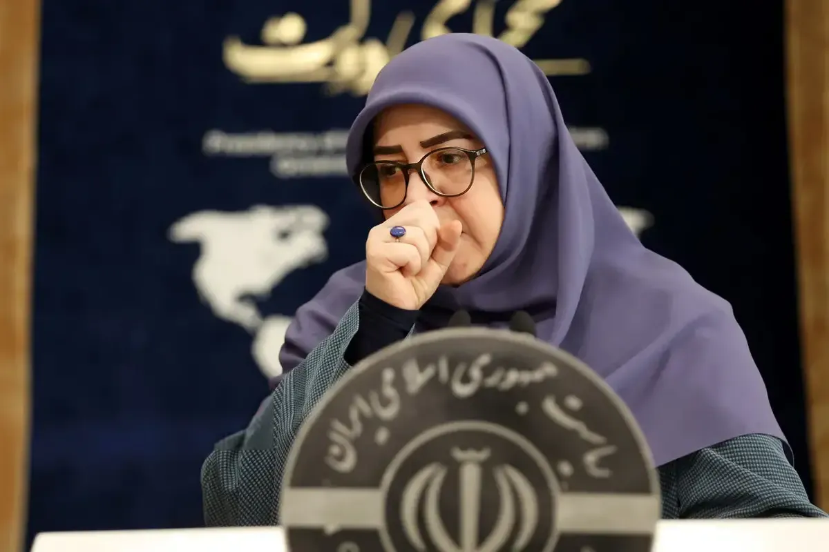 فیلم/ سخنگوی دولت: عید امسال همه داغداریم