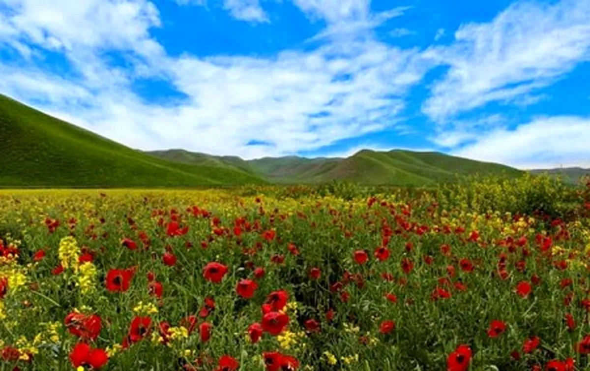 با ترکمن صحرا آشنا شوید