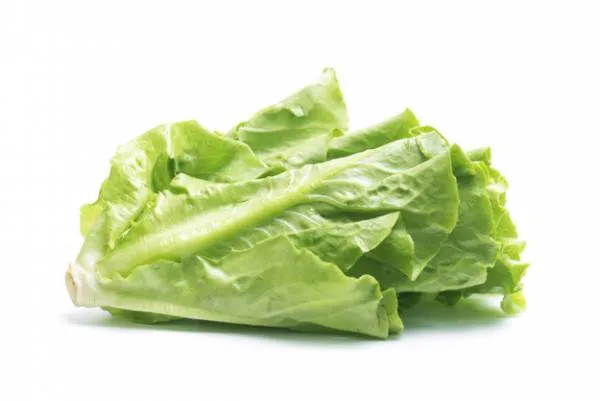سبزی قاتل چاقی افسردگی و آلزایمر و استرس
