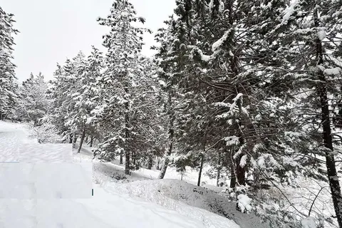 بارش برف زمستانی در تهران