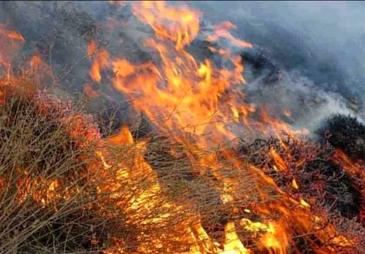 زاگرس روی خط آتش