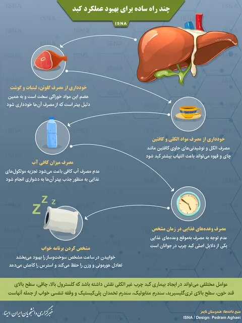 چند راه ساده برای بهبود عملکرد کبد+ اینفوگرافی