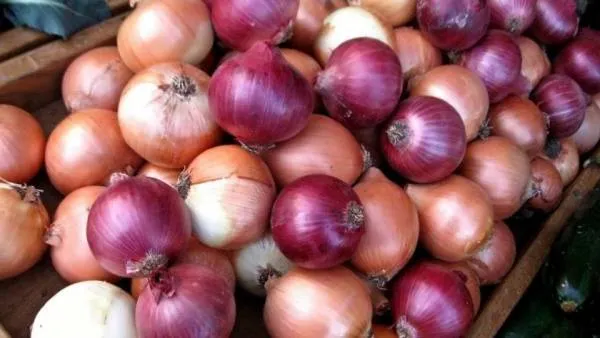 پیاز باید در رژیم غذایی شما باشد