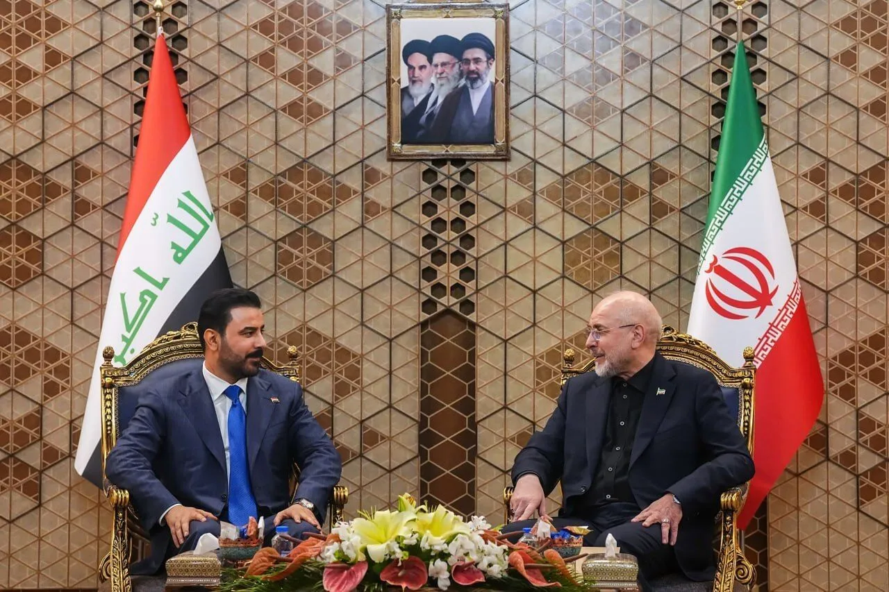 قالیباف قالیباف