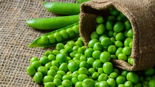 فواید معجزه آسای نخودفرنگی