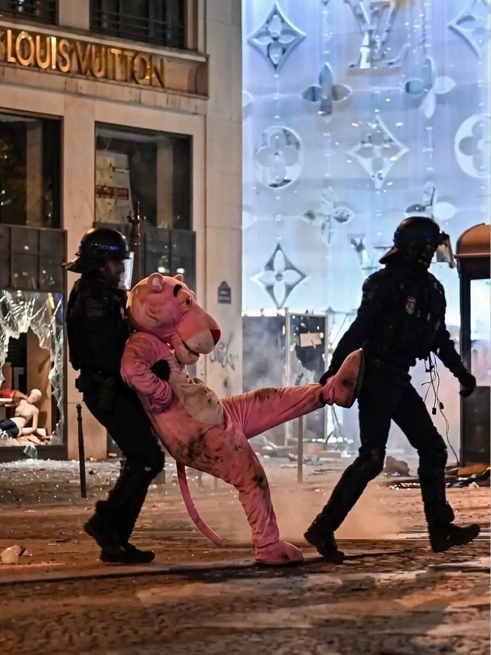 عکس/ دستگیری پلنگ صورتی در تظاهرات فرانسه!