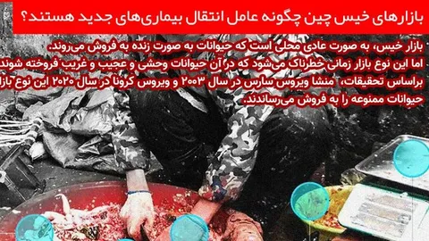 اینفوگرافی/  بازارهای خیس چین چگونه عامل انتقال بیماری‌های جدید هستند؟