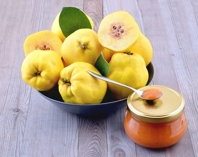 از رفع وسواس تا درمان سرفه فقط با یک میوه پاییزی
