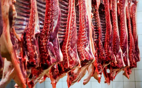 کاهش نسبی قیمت گوشت قرمز