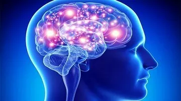 اثرات فوق العاده قهوه بر مغز