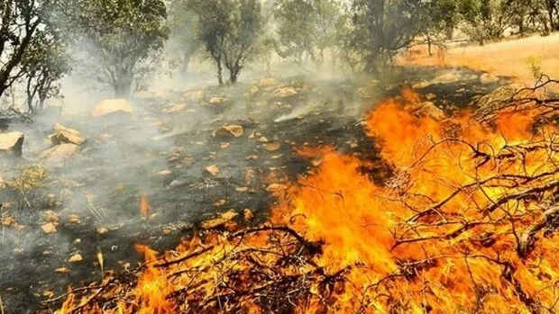 سازمان فضایی ایران: پیش بینی ماهواره‌ای از ریسک آتش سوزی زاگرس در هفته آینده