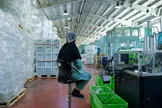وقتی برق می‌رود، حقوق کارگران چه می‌شود؟/ بررسی اثر ناترازی انرژی بر اشتغال و دستمزد