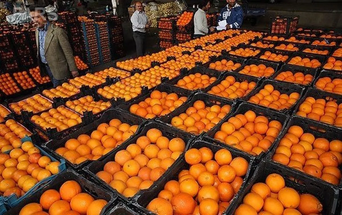 دولت میوه‌های شب عید را گران‌تر به مردم می‌فروشد