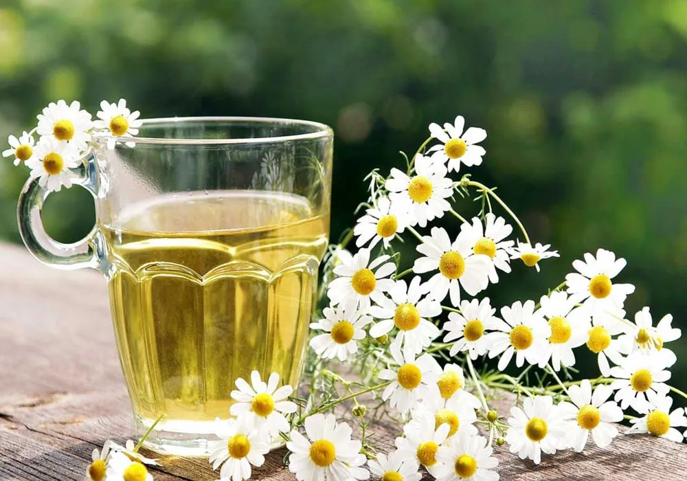 قاتل بی رحم زخم معده سنگ کلیه و بواسیر از راه رسید