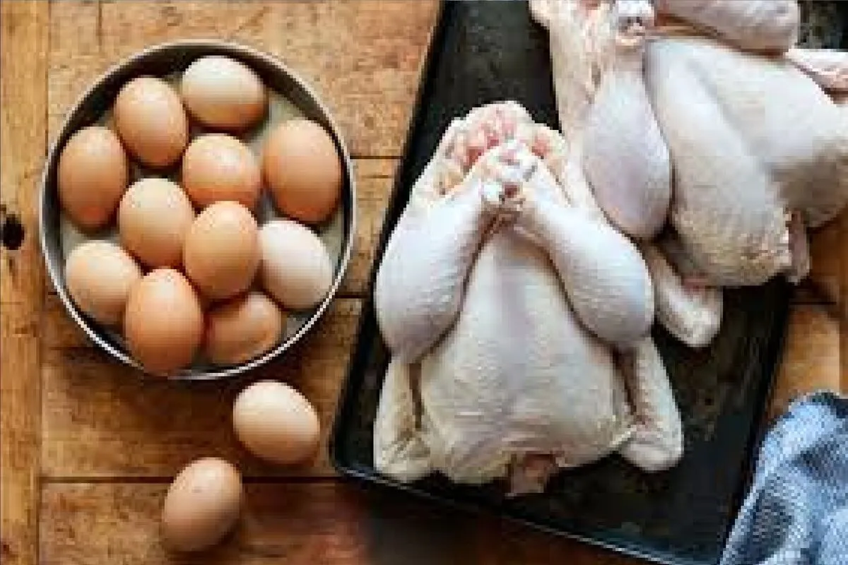 دولت از گرانی شدید مرغ و تخم‌مرغ و روغن خبر داد