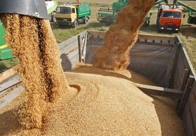 ۳ ابهام تخصیص اعتباری ارز به برخی شرکت‌های خاص