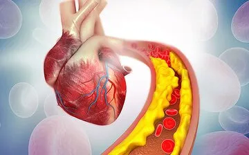 دم‌نوش گل ختمی چه فوایدی دارد؟