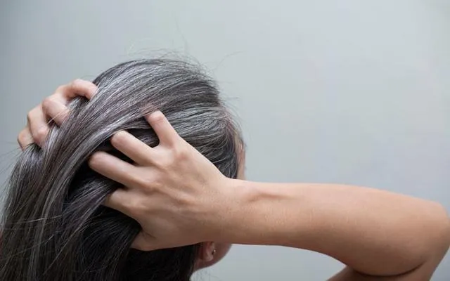 دلیل سفید شدن موی سر چیست؟ دلیل سفید شدن موی سر چیست؟