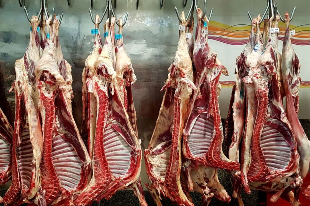 حباب در قیمت گوشت