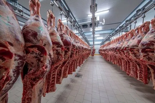 ۲۰۰ هزار تن گوشت قرمز کنیا در راه بازار ایران