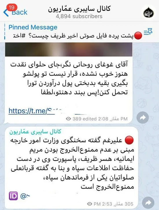 ادعای جدید کانال عماریون علیه همسر ظریف
