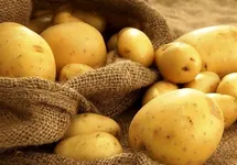 قیمت سیب‌زمینی اعلام شد؛ هر کیلو سیب‌زمینی چند؟