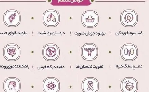 خواص ضد ویروسی شلغم آشنا شوید + اینفوگرفی