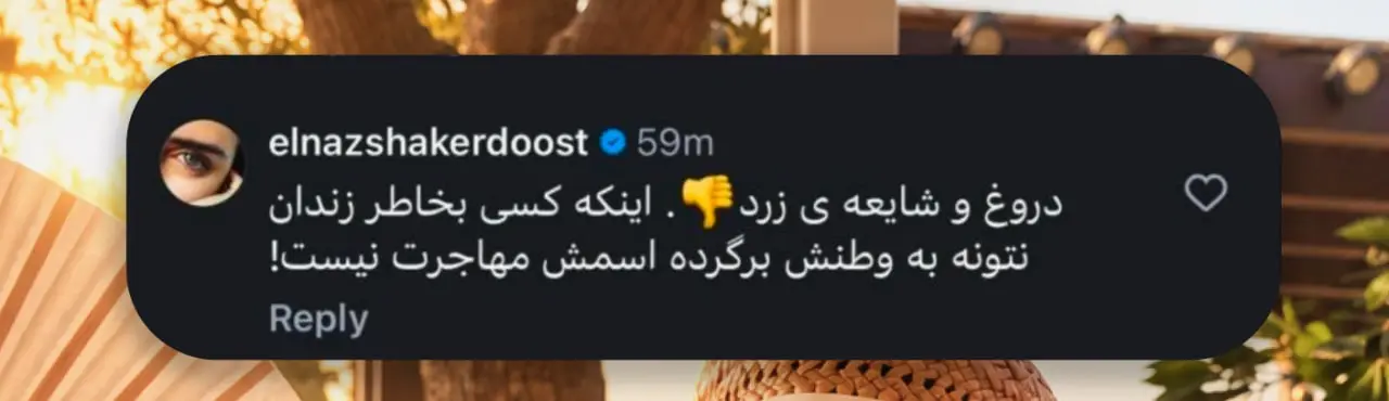 عکس الناز شاکردوست