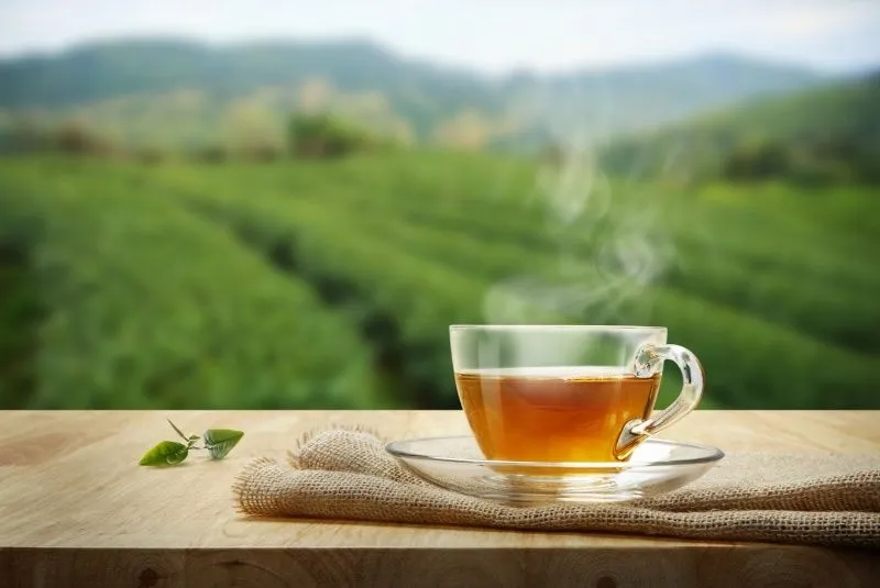 نوشیدنی پرطرفدار که مغزتان را فعال می‌کند