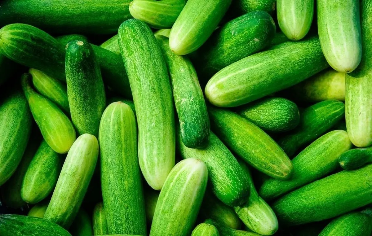 دلار ارزان شد، اما خیار نه!