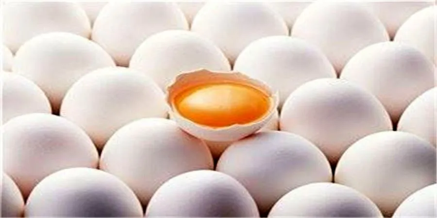قیمت مرغ و تخم مرغ در بازار‌های تهران چقدر کاهش یافت؟