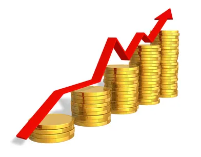 افزایش بیش از ۷۱ درصدی سرمایه گذاری خارجی در بخش صنعت