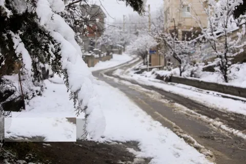 بارش برف در سوادکوه
